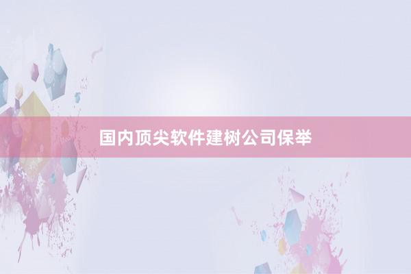 国内顶尖软件建树公司保举