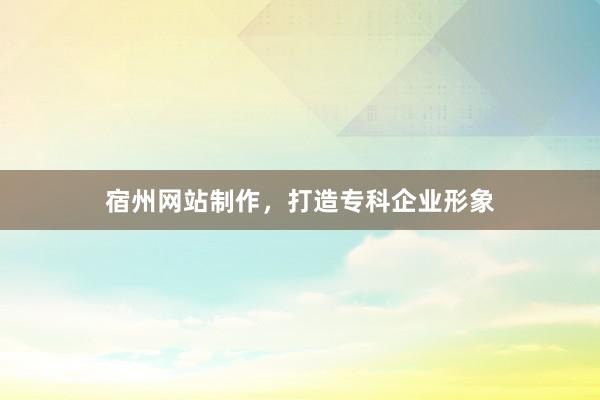 宿州网站制作，打造专科企业形象